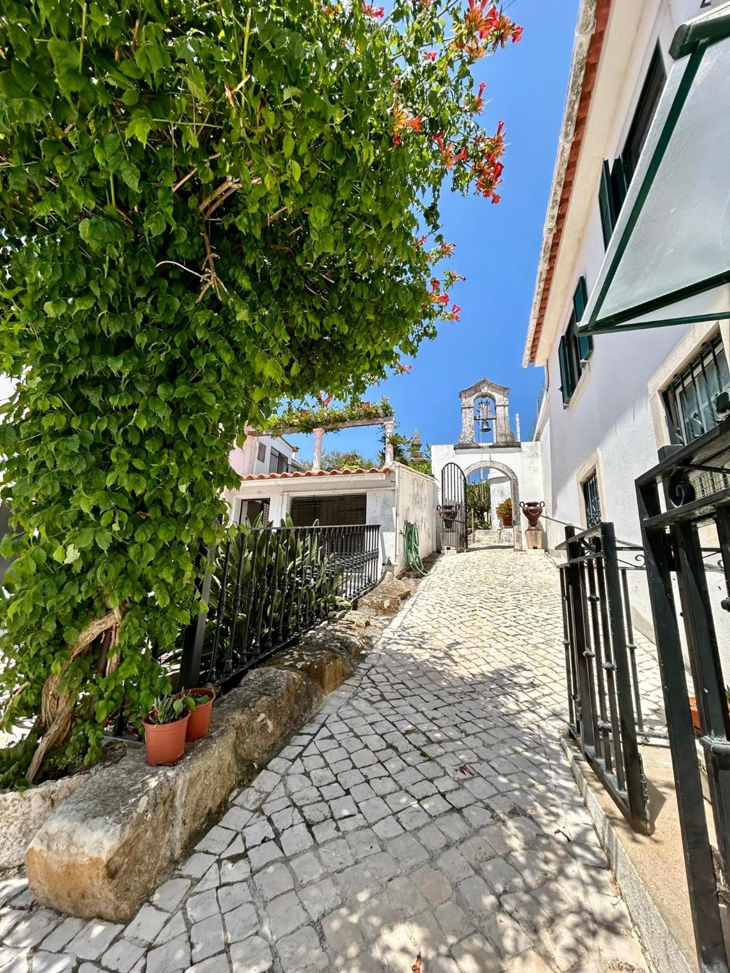 Traditional Portuguese Village House - Casa Martins No 52 Freiria Eksteriør bilde